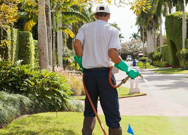 About Charm OH Pest Control